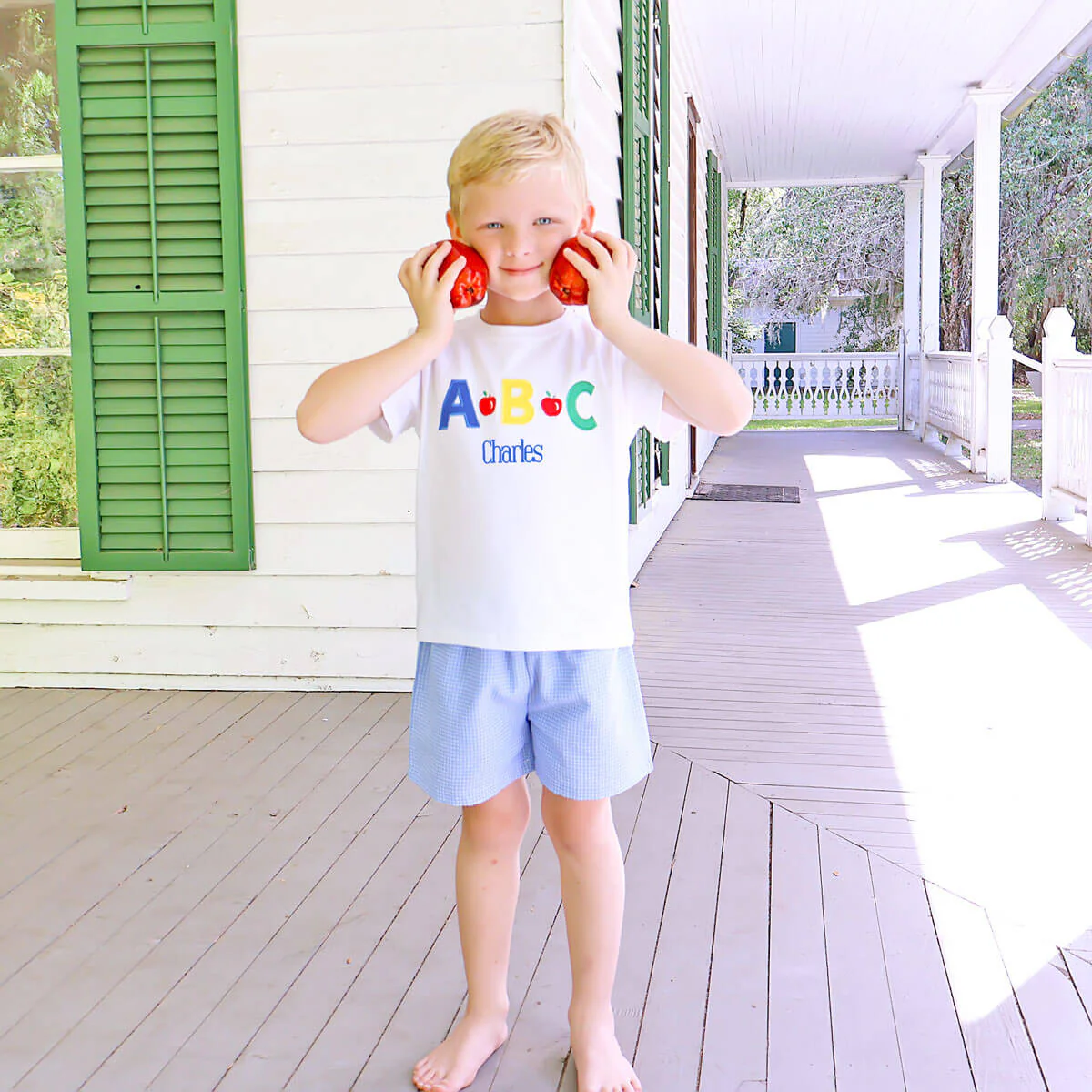 ABC Blue Windowpane Short Set - Image 3