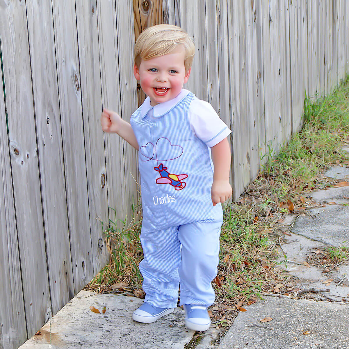 Airplane Heart Blue Gingham Longall - Image 2