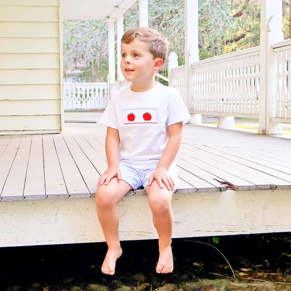 Apple Smocked Blue Gingham Short Set - Image 3