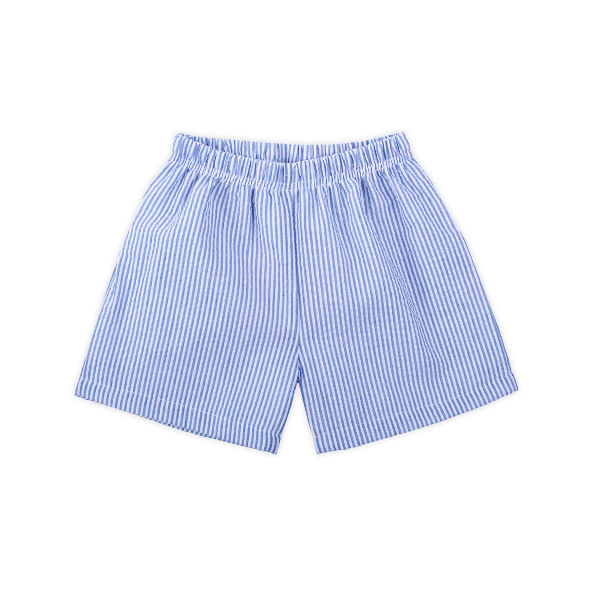 Blue Stripe Seersucker Shorts - Image 3