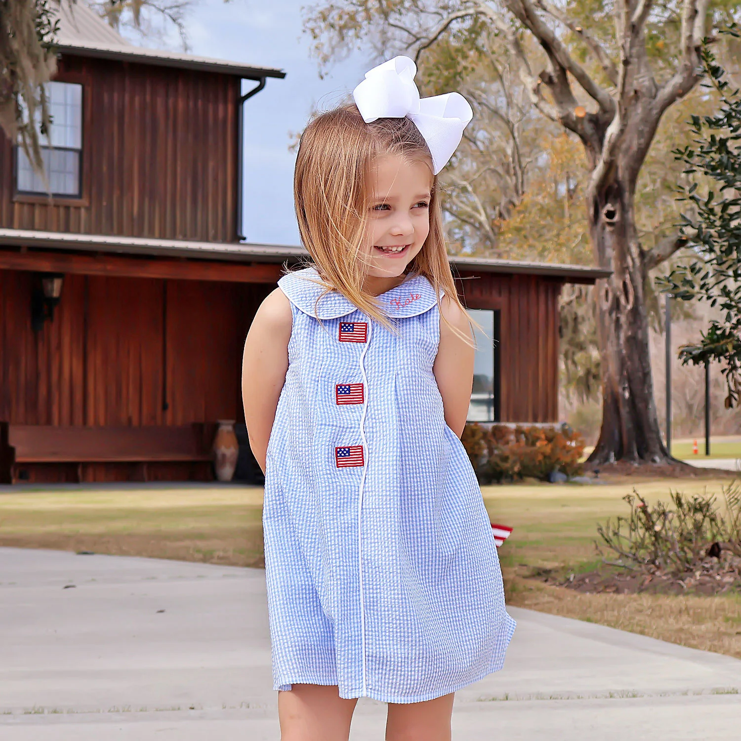 Flag Light Blue Gingham Jane Dress - Image 4