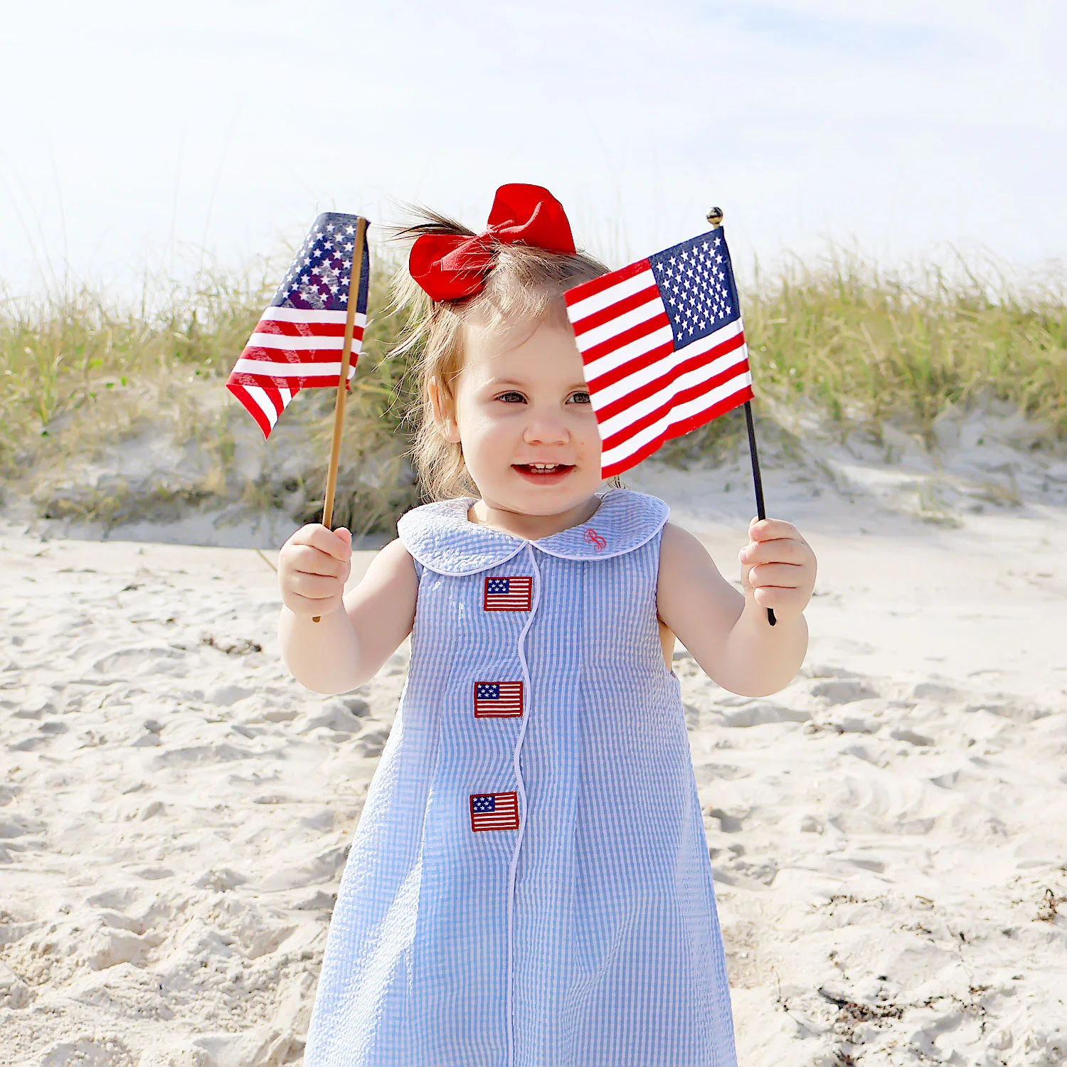 Flag Light Blue Gingham Jane Dress - Image 5