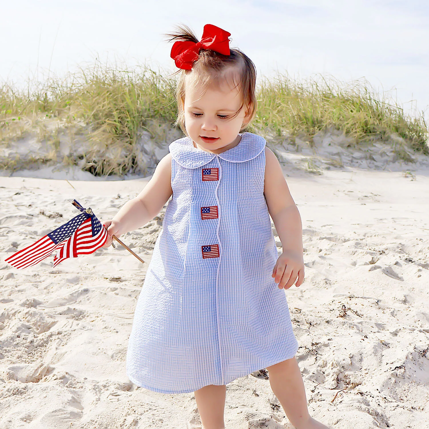 Flag Light Blue Gingham Jane Dress - Image 6