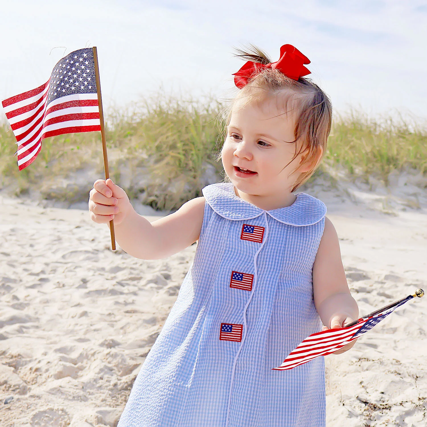 Flag Light Blue Gingham Jane Dress - Image 8