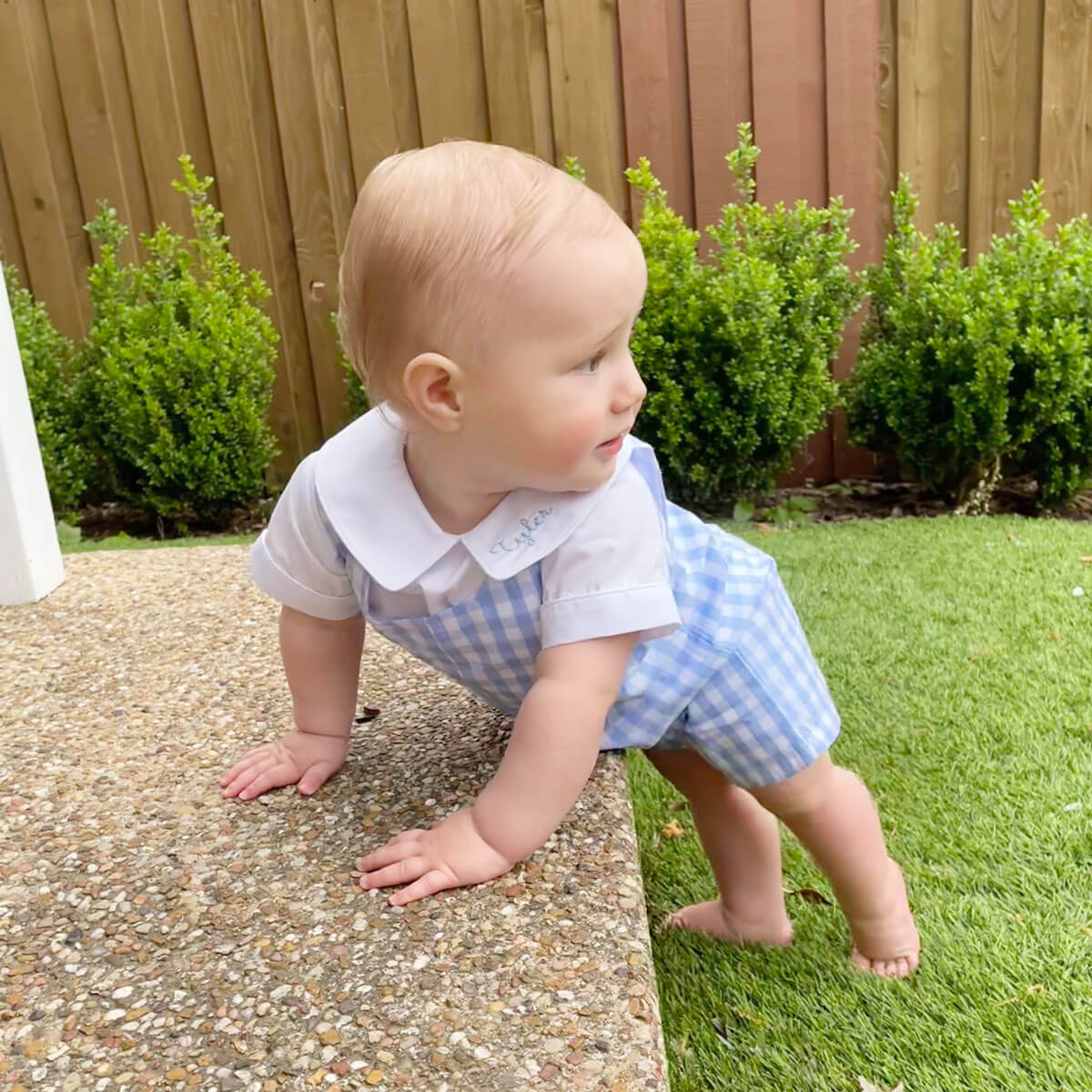 Light Blue Jon Jon Gingham - Image 3