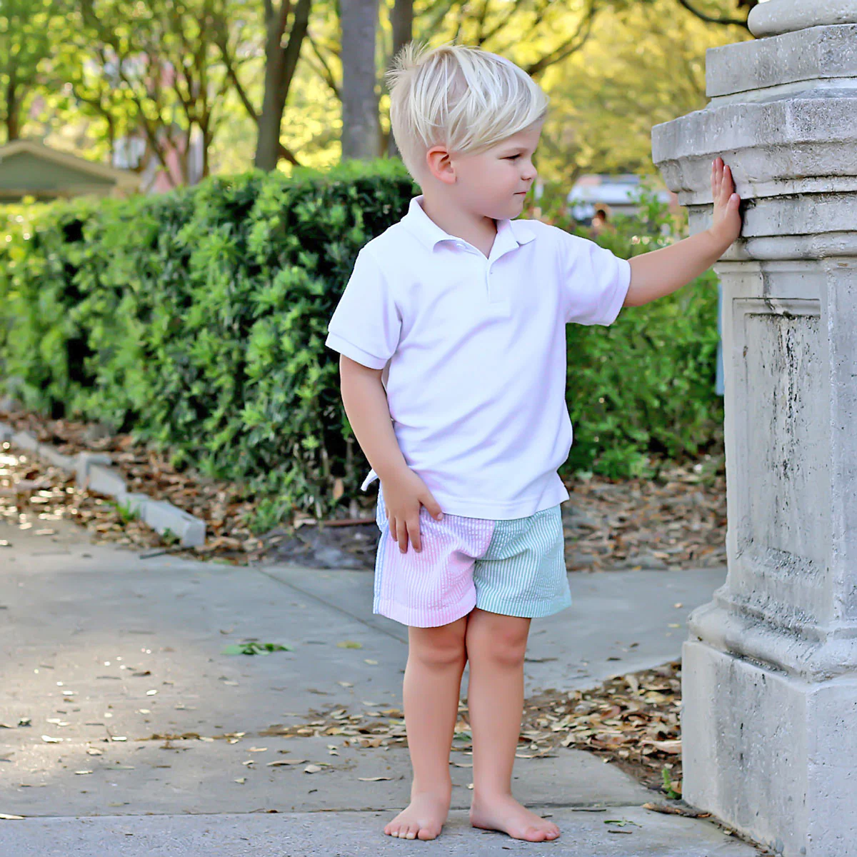 Multi Stripe Seersucker Shorts - Image 5