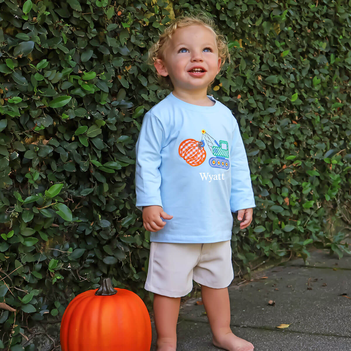 Pumpkin Crane Light Blue Long Sleeve Shirt - Image 5