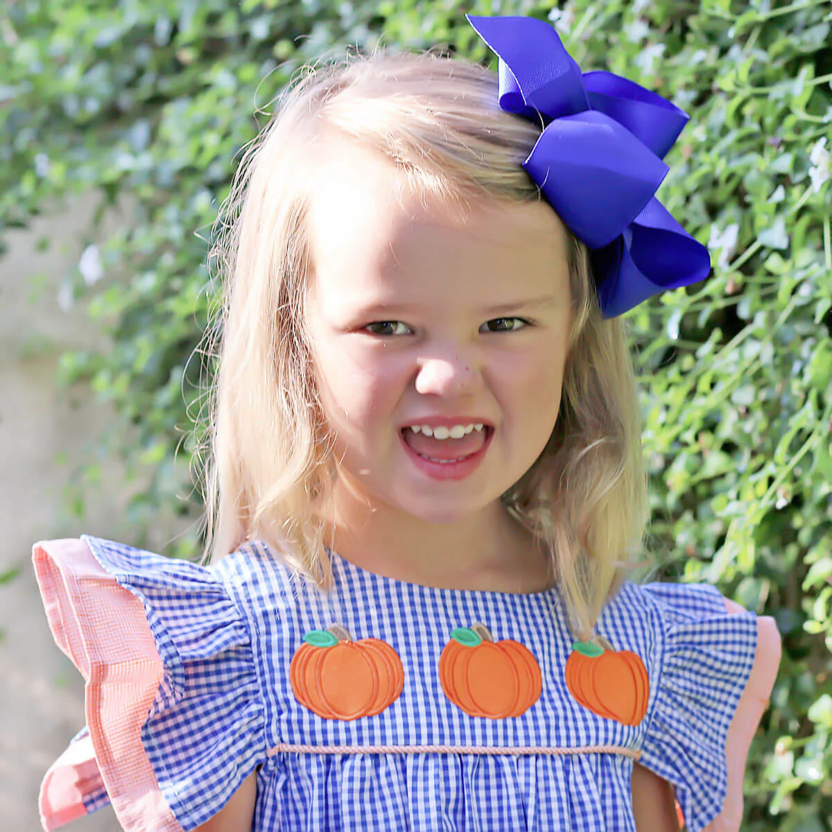 Pumpkin Picking Royal Blue Gingham Maeve Short Set - Image 2