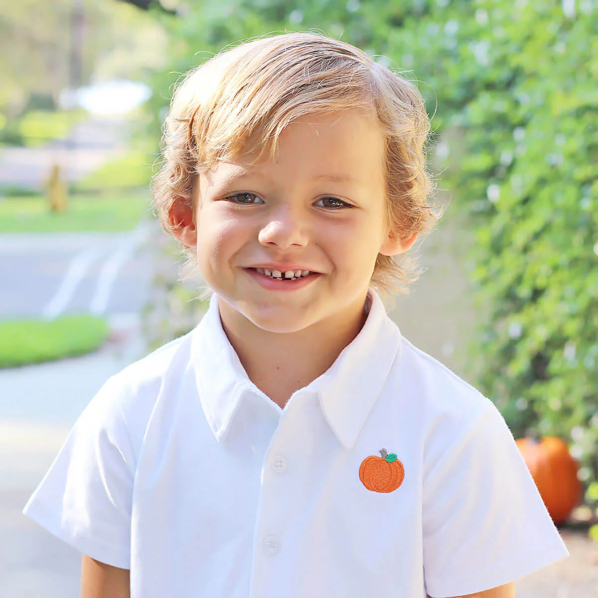 Pumpkin Picking Royal Blue Gingham Polo Short Set - Image 2