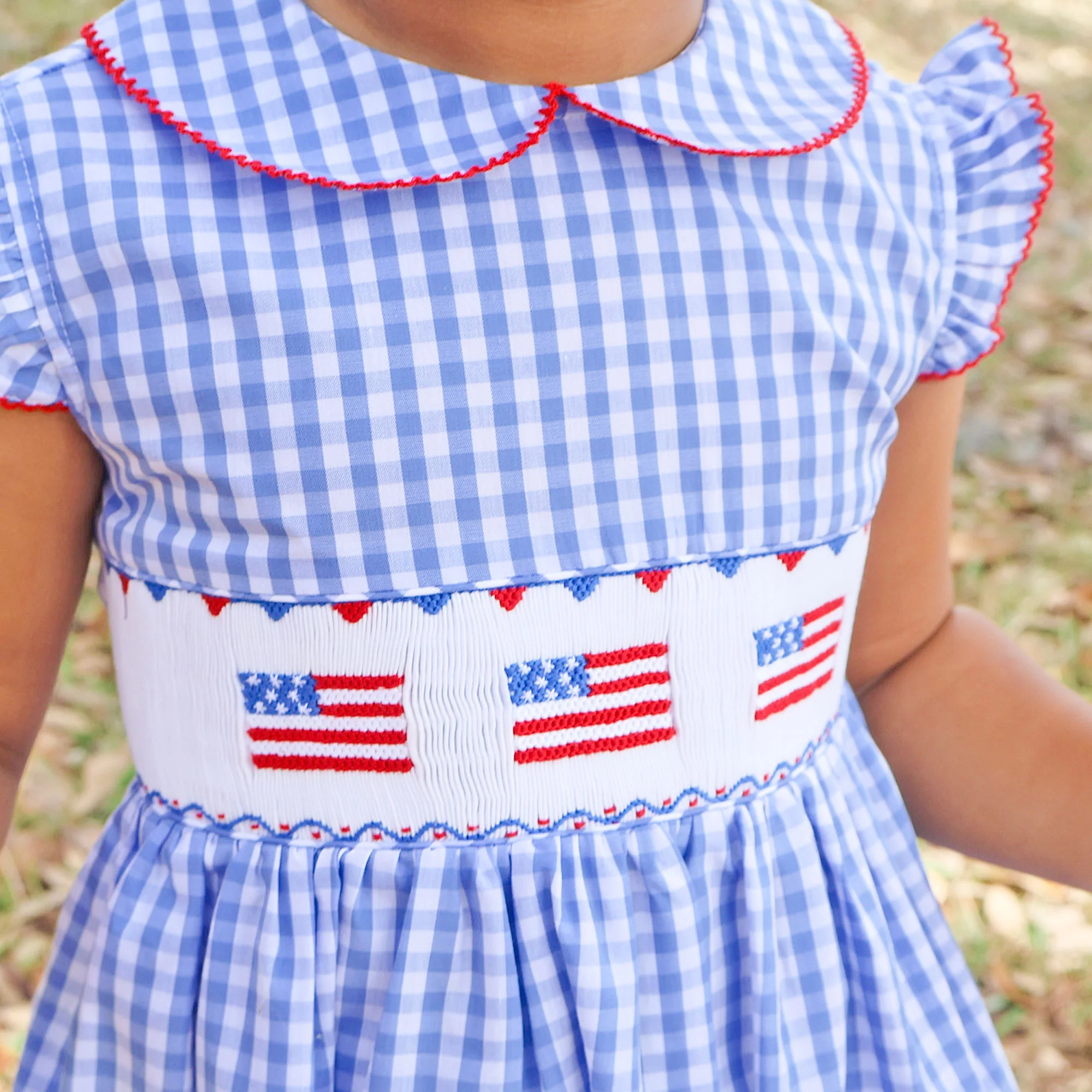 Raise the Flag Blue Gingham Smocked Collared Dress - Image 3