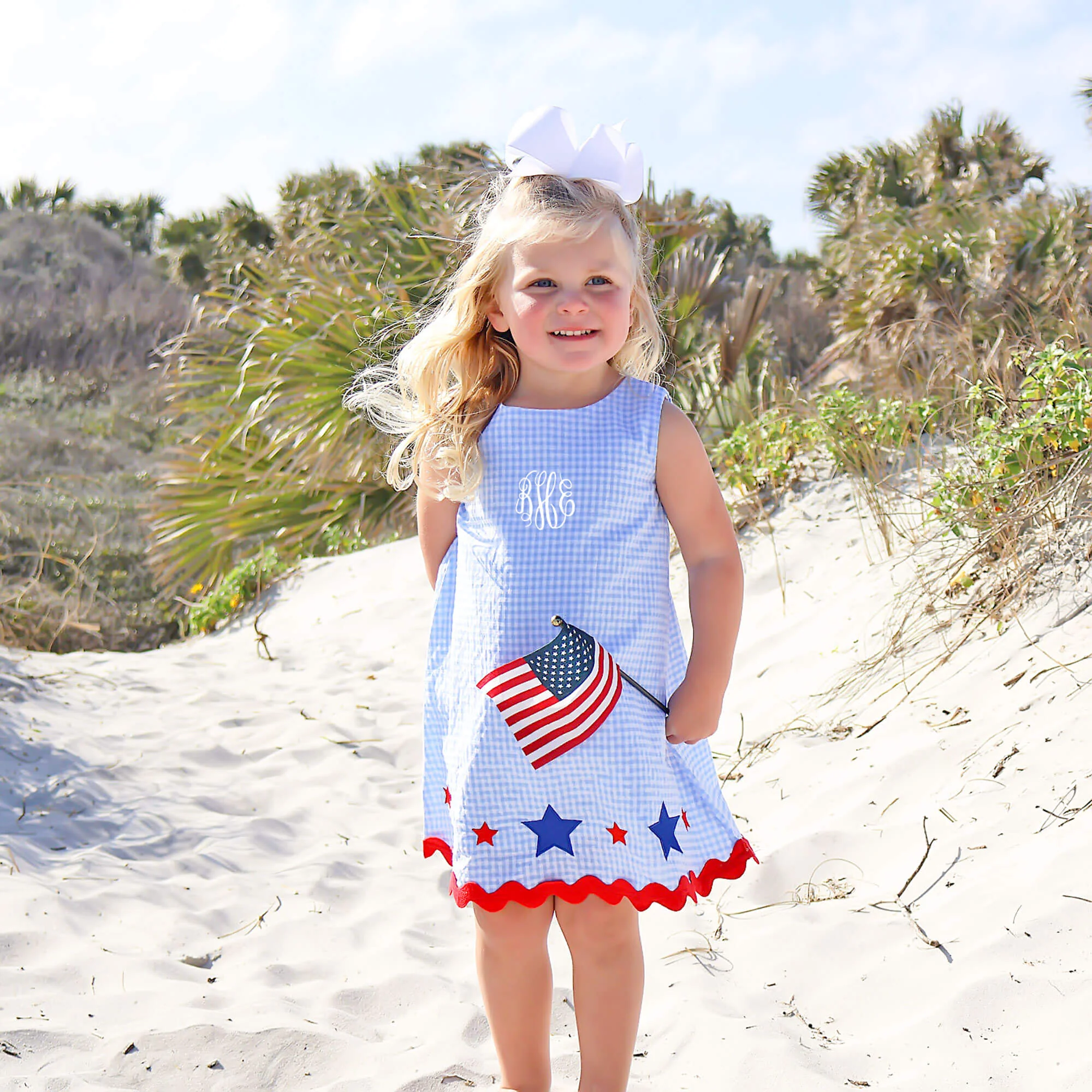 Star Spangled Light Blue Gingham Eleanor Dress - Image 4