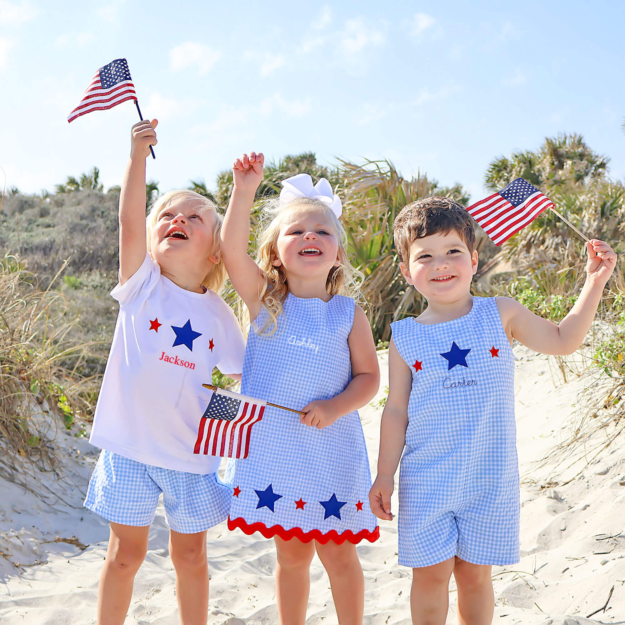 Star Spangled Light Blue Gingham Eleanor Dress - Image 6