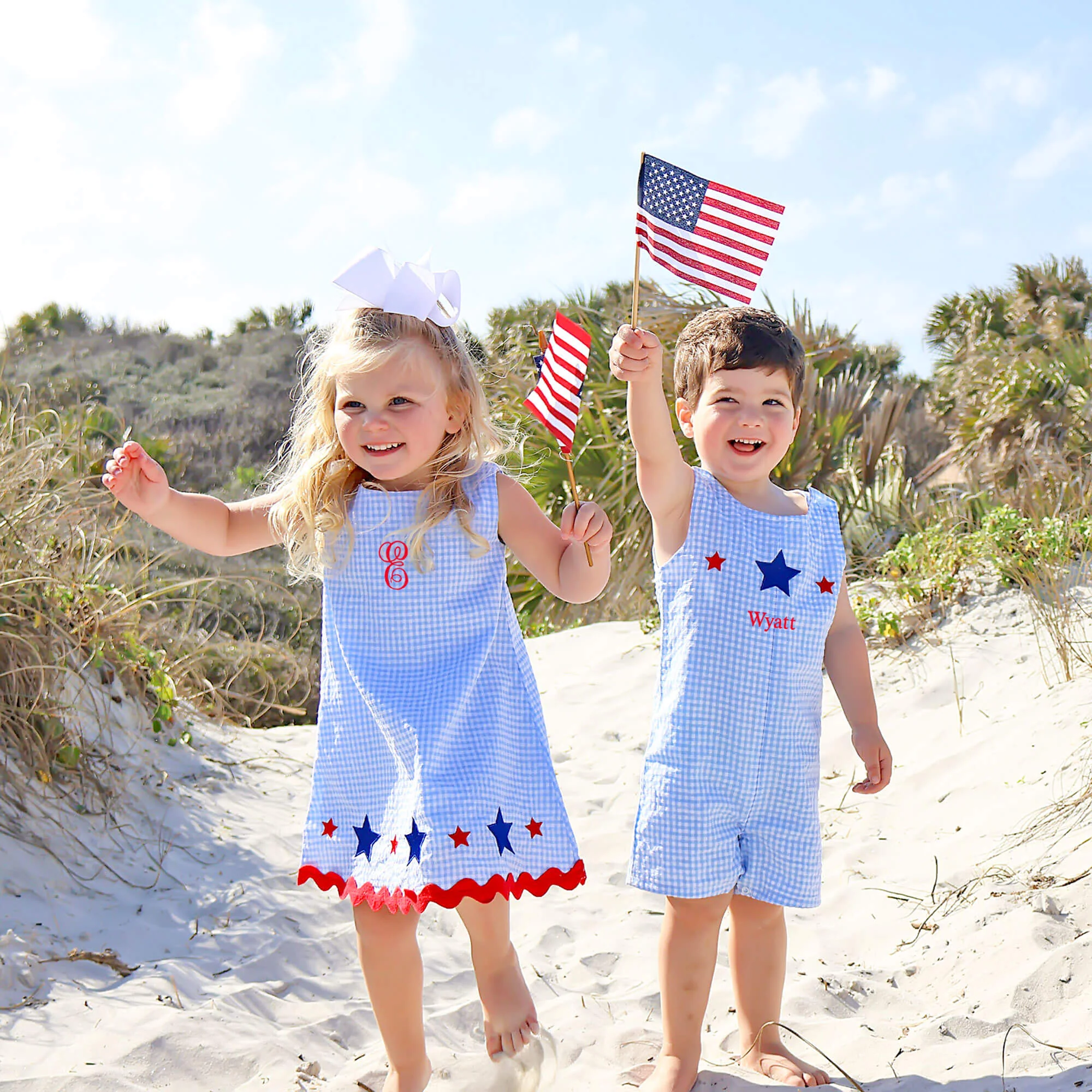 Star Spangled Light Blue Gingham Eleanor Dress - Image 9