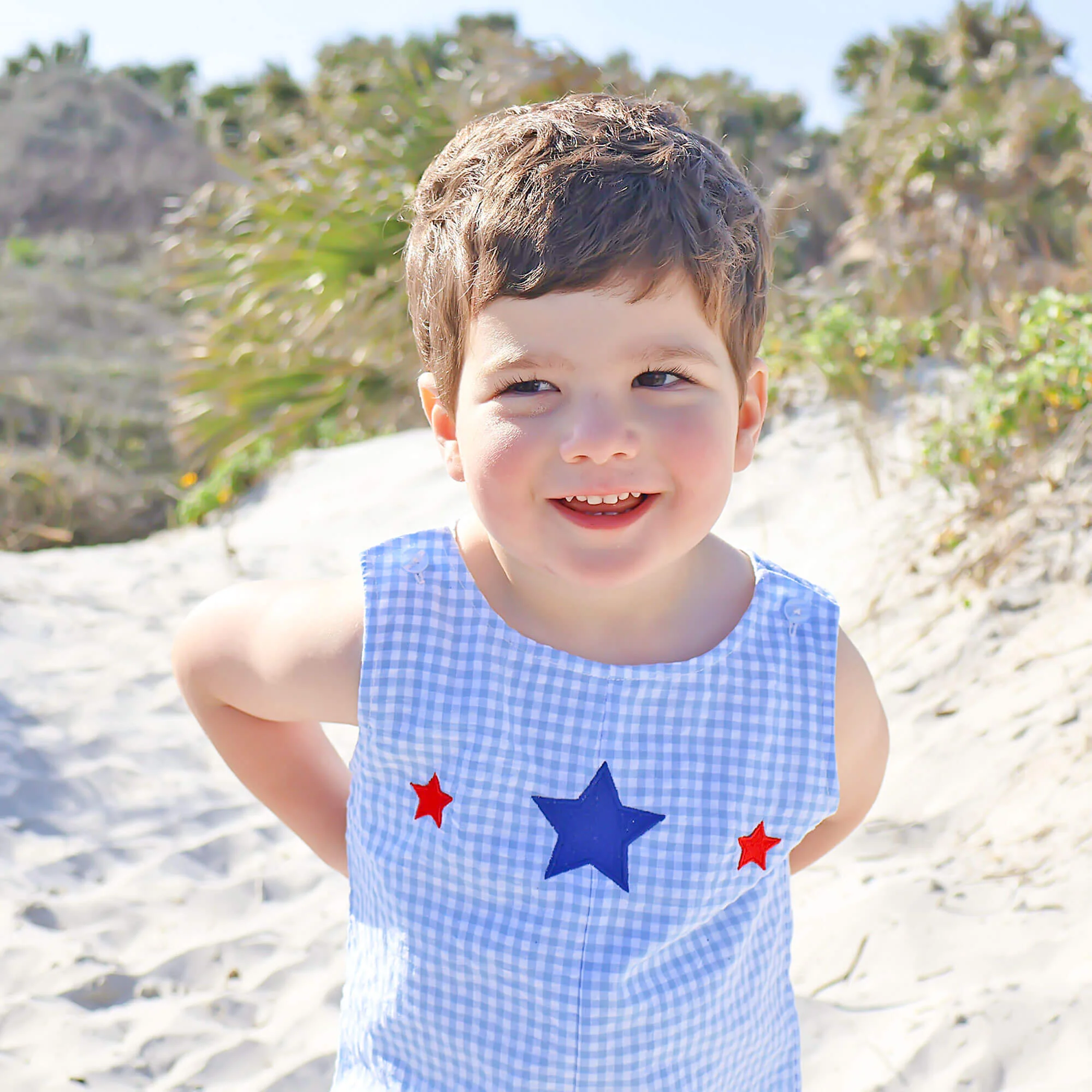 Star Spangled Light Blue Gingham Jon Jon - Image 3