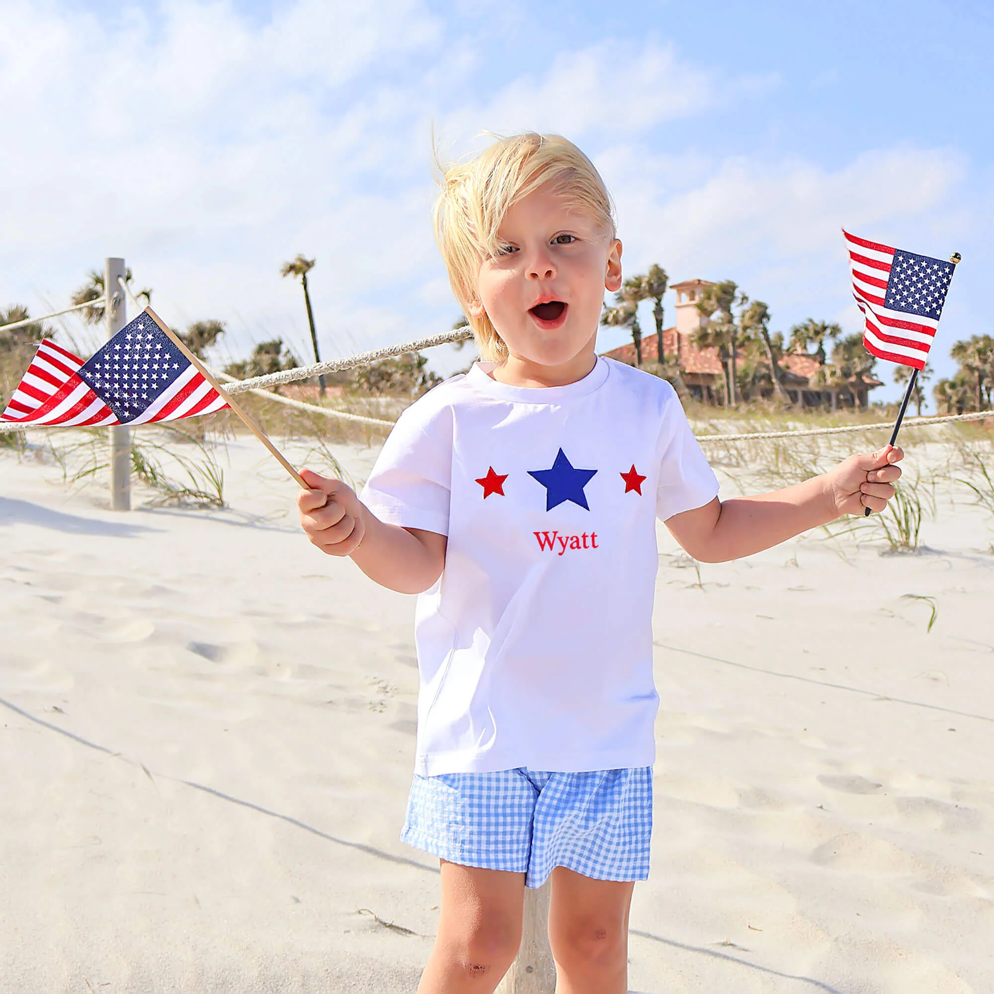 Star Spangled Light Blue Gingham Short Set - Image 3