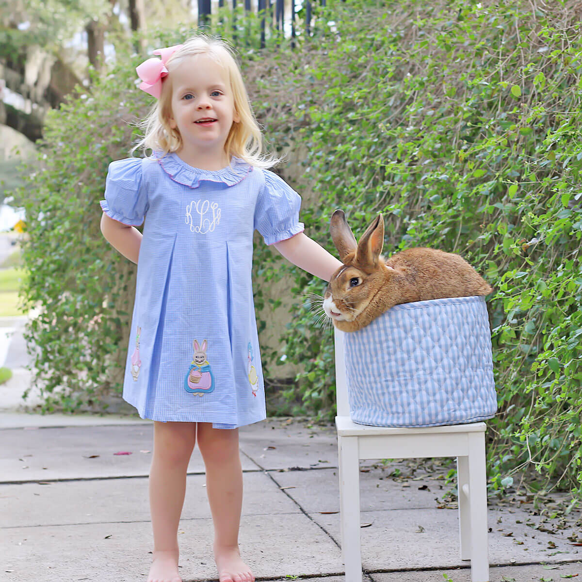 Storybook Rabbit Blue Gingham Chloe Dress - Image 6