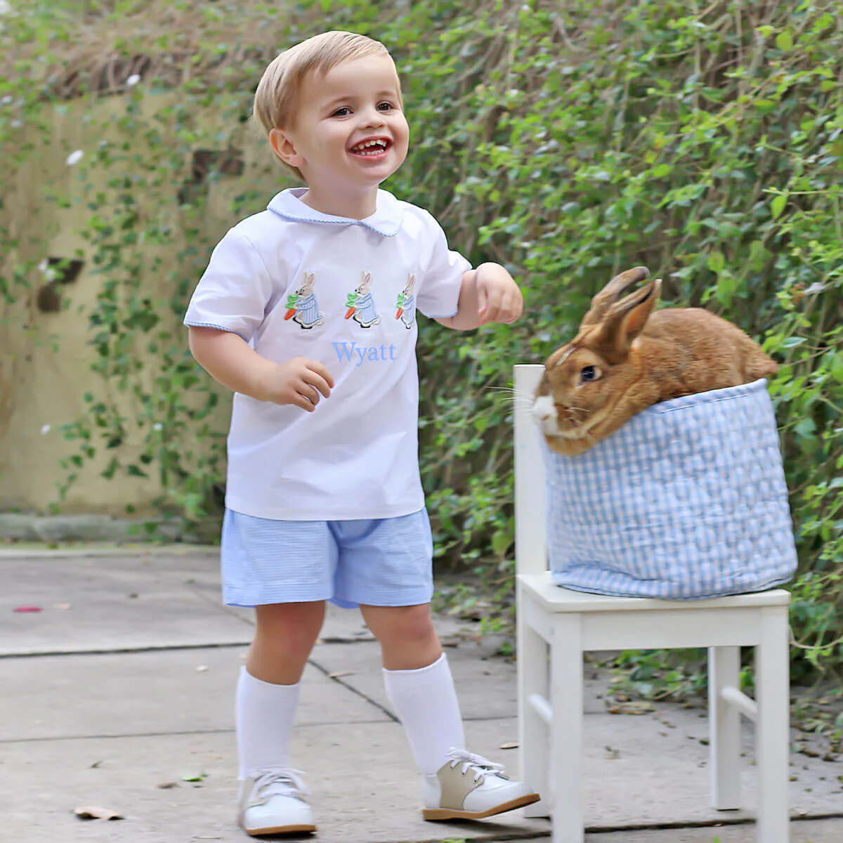 Storybook Rabbit Blue Gingham Collared Short Set - Image 6