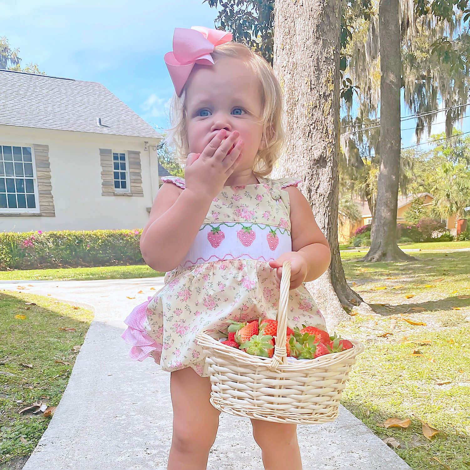 Strawberry Floral Smocked Leah Bubble - Image 5