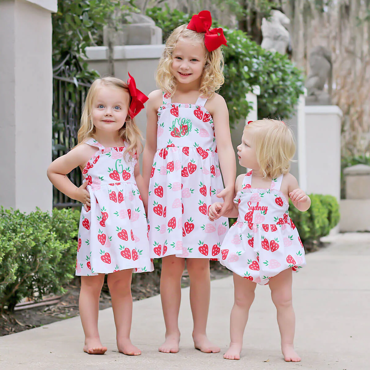 Strawberry Shortcake Bubble - Image 13