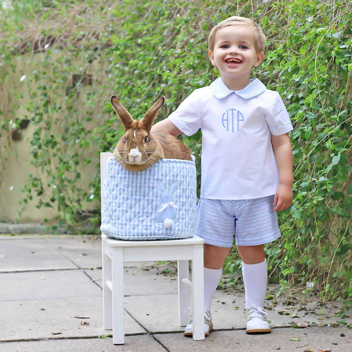 Light Blue Check Collared Short Set - Image 2