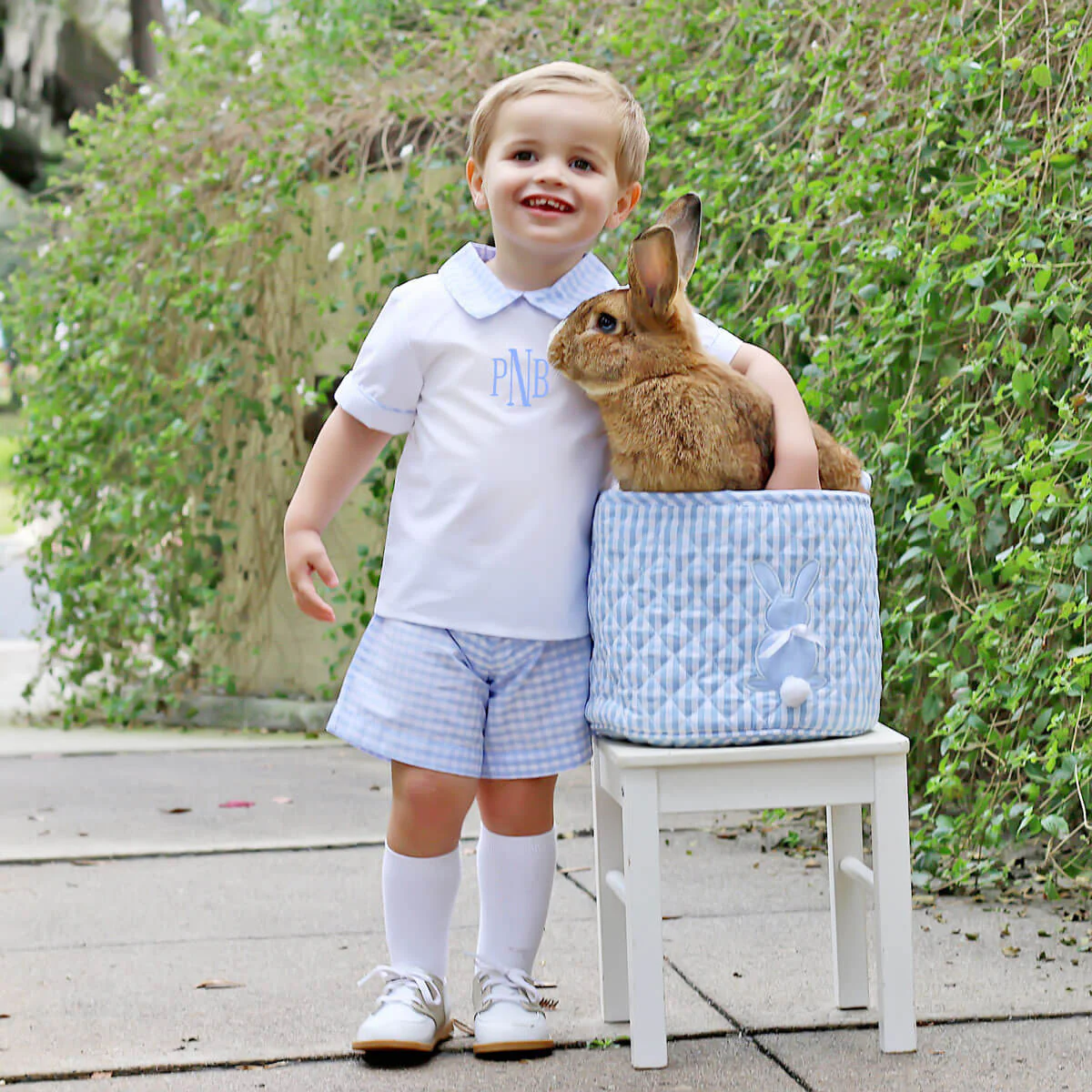 Light Blue Check Collared Short Set - Image 6