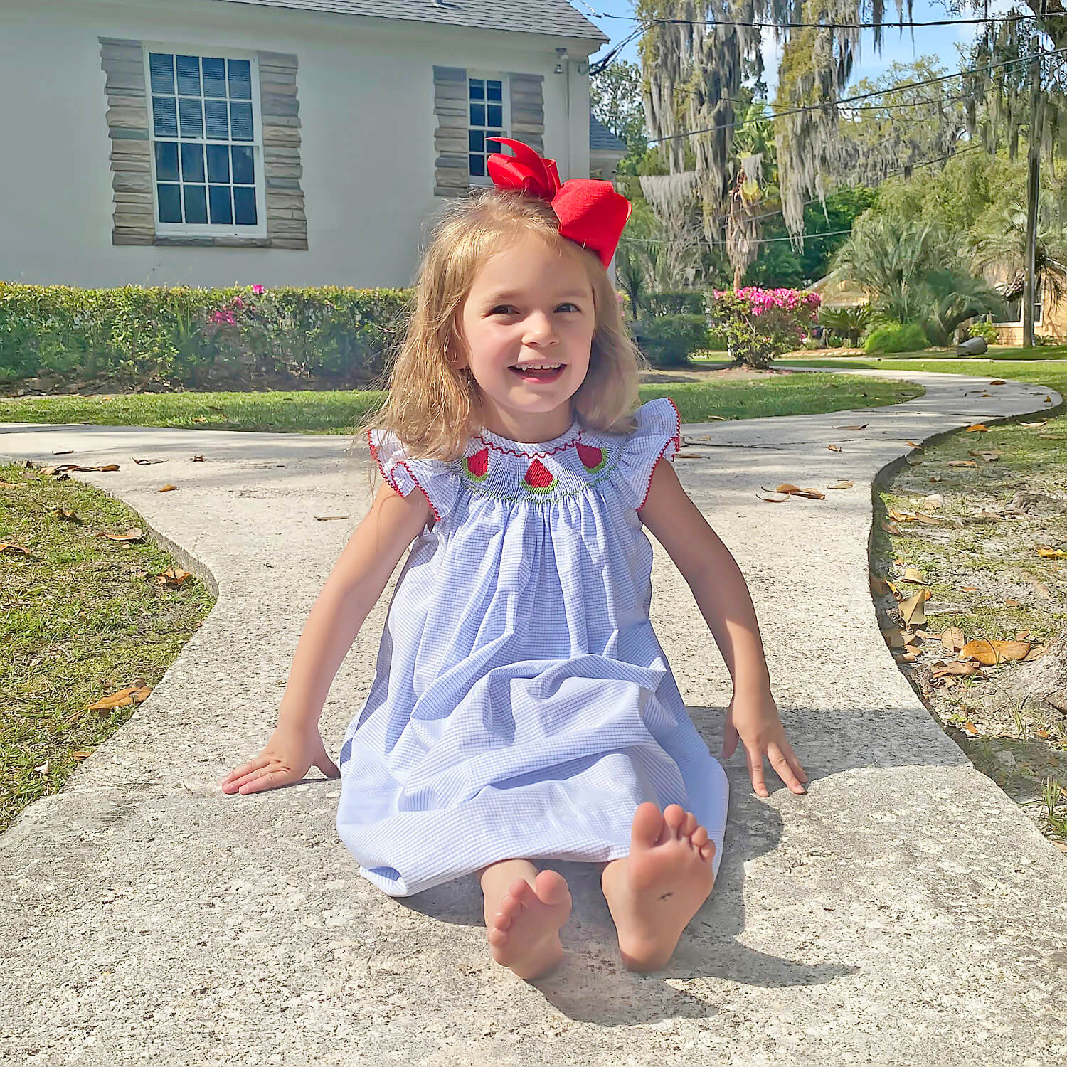 Watermelon Blue Windowpane Smocked Dress - Image 3