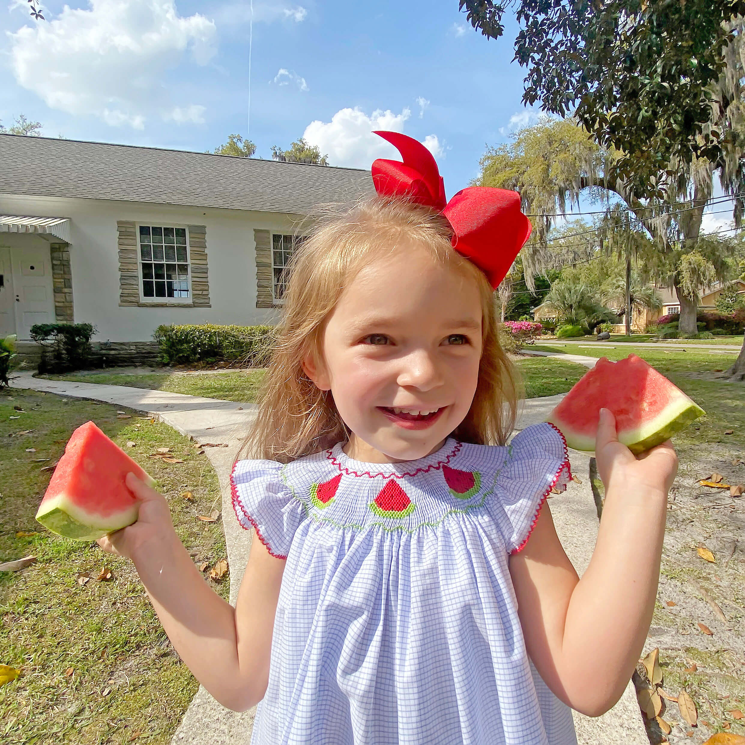 Watermelon Blue Windowpane Smocked Dress - Image 6