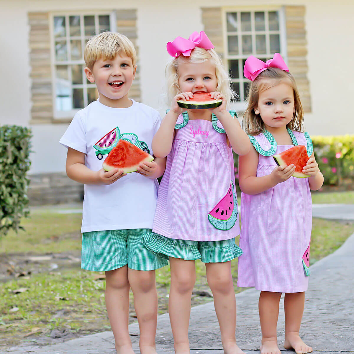 Sweet Watermelon Applique Pink Gingham Lulu Short Set - Image 5